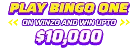 winzo-main--text