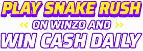 winzo-main--text